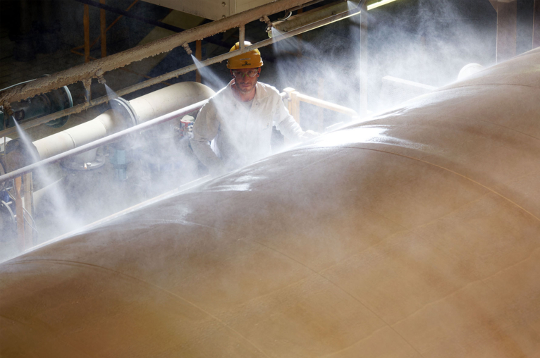 Roquette Expertise Products